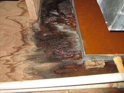 About water damage restoration service - burst pipe water damage experts in Memphis